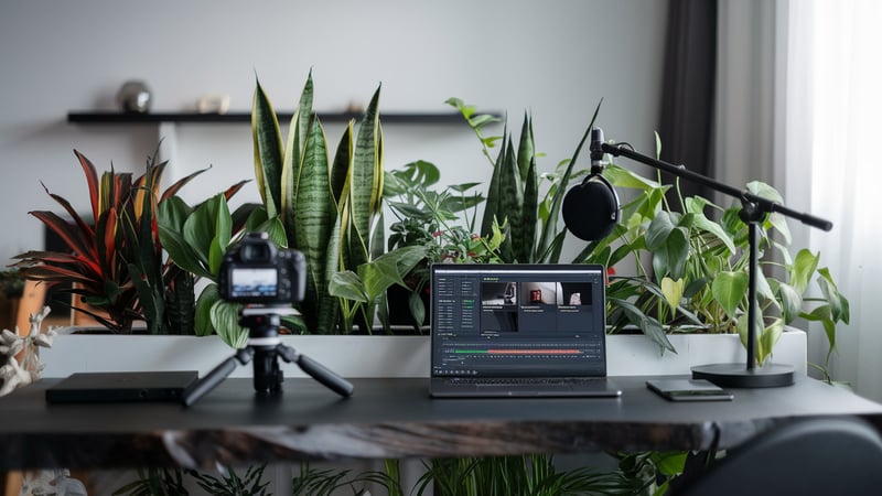 105 Creative House Plant YouTube Video Ideas for 2025